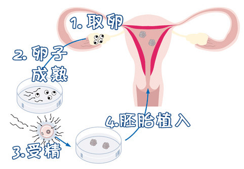 实验室 Fig.02